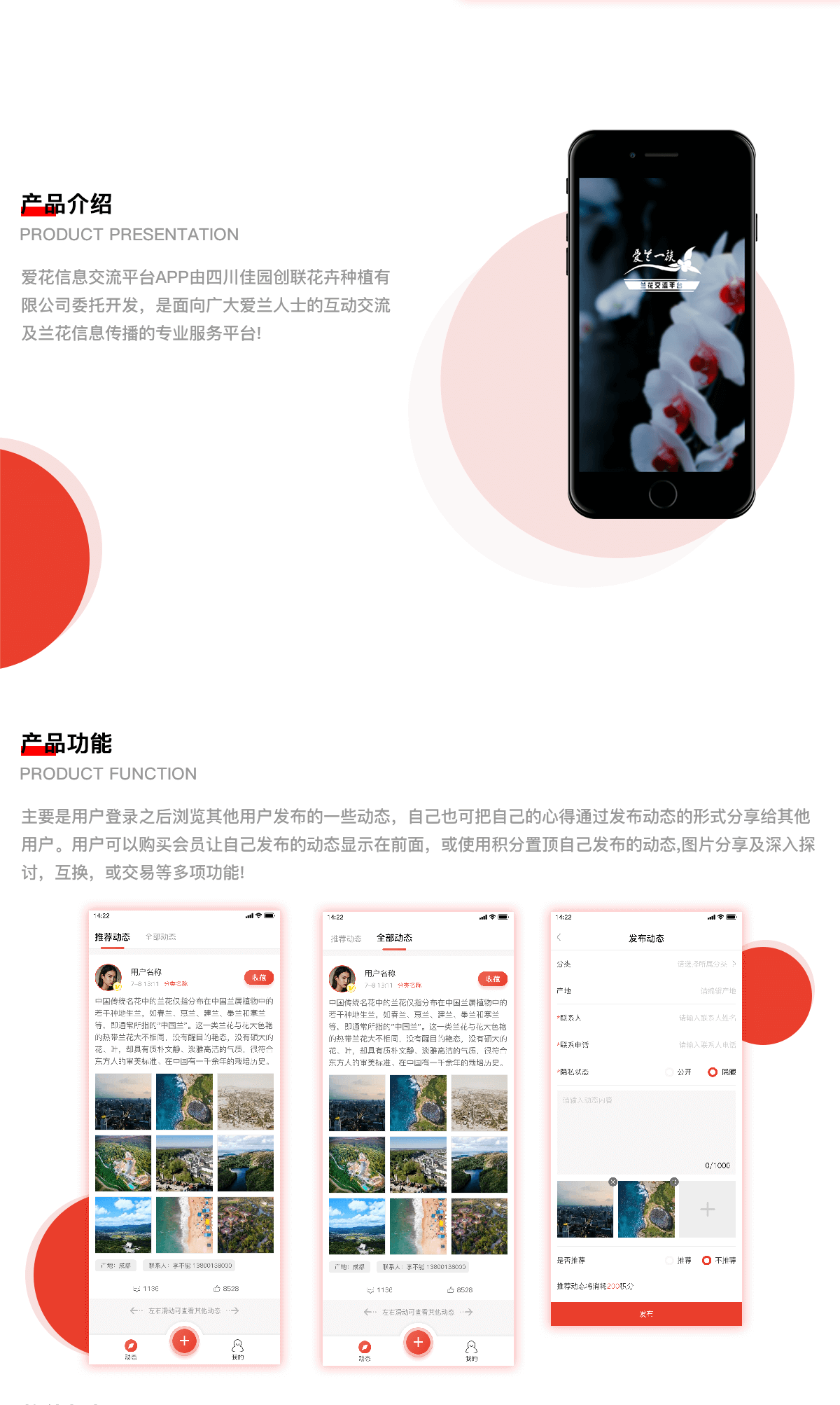 成都开发app找谁