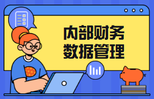 内部财务数据管理系统